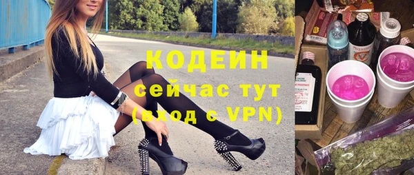 сатива Каменногорск