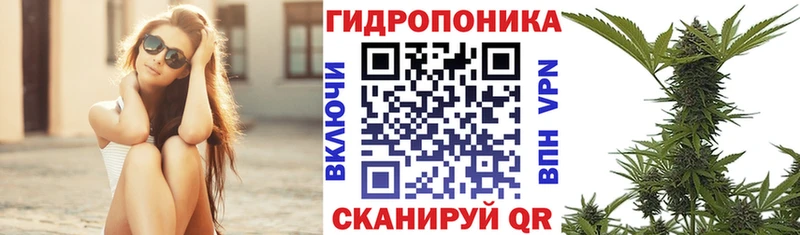 Конопля SATIVA & INDICA  Кимовск 